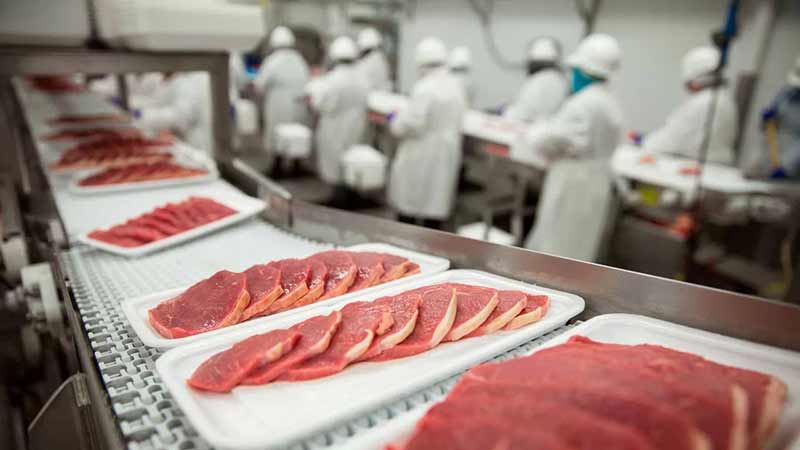 México ha exportado casi 400 mil toneladas de cárnicos en 2022